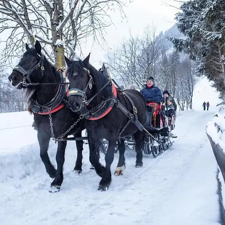 アパート Anna 3 ラウリス