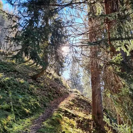 Anna 3 Apartment Rauris