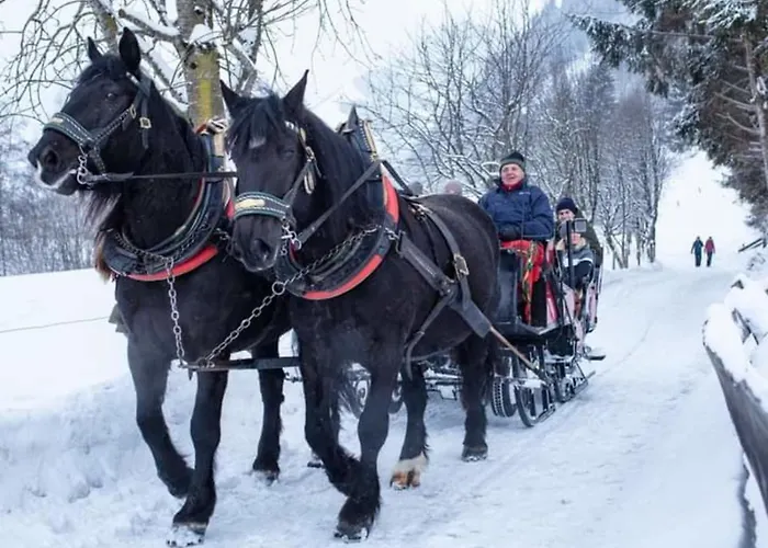 Apartament Anna 3 Rauris