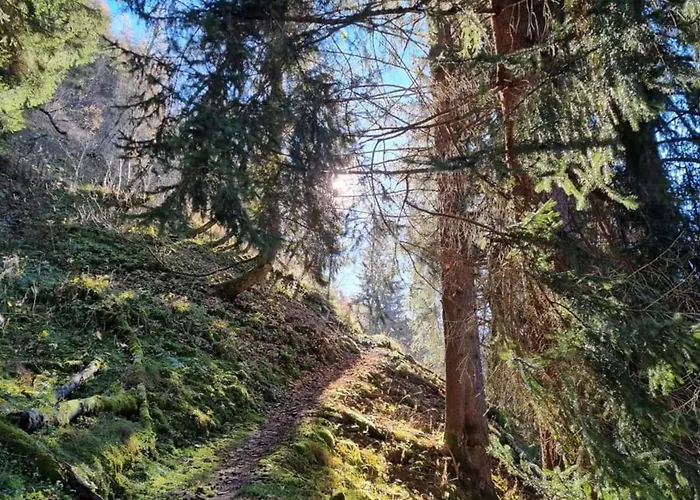 Anna 3 Apartment Rauris